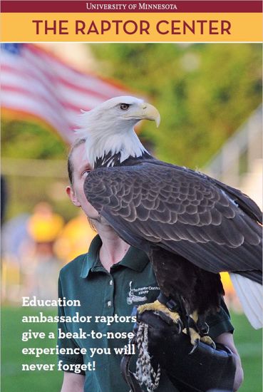 Picture of Live Bald Eagle Online Program - Raptors of the Midwest